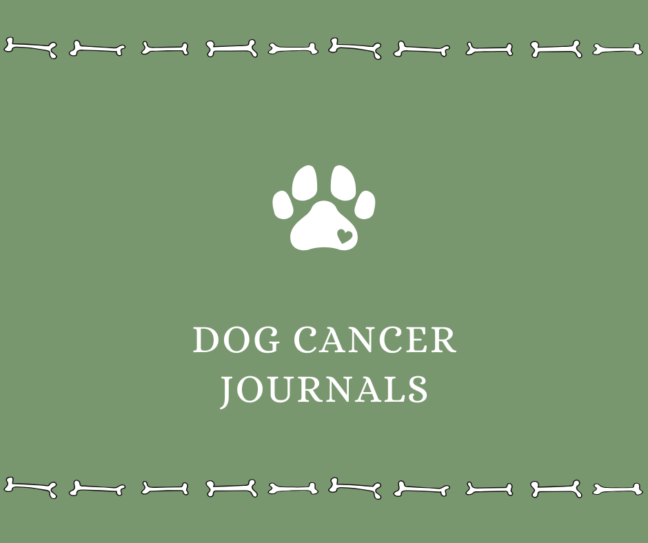 Dog Cancer Journals - Drake Dog Cancer Foundation