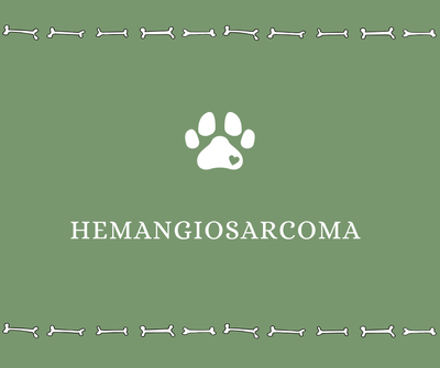 Hemangiosarcoma - Drake Dog Cancer Foundation
