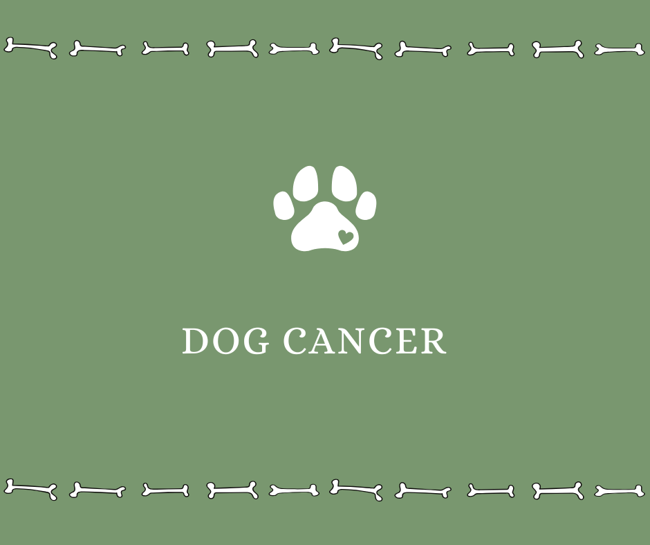 Dog Cancer