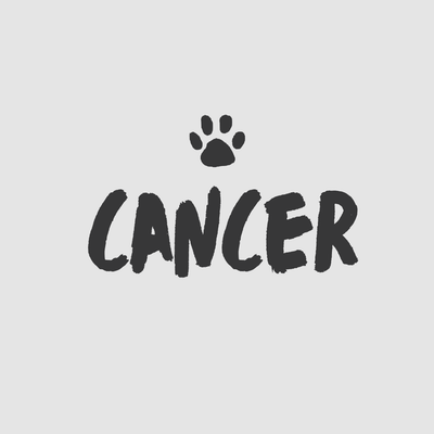 Dog Cancer - Drake Dog Cancer Foundation