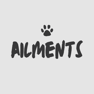 Common Ailments - Drake Dog Cancer Foundation