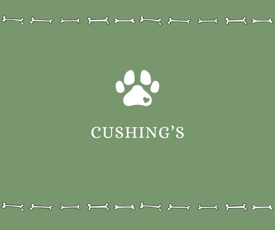 Cushing's Disease - Drake Dog Cancer Foundation