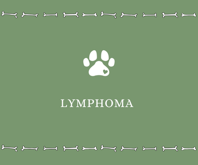 Lymphoma - Drake Dog Cancer Foundation