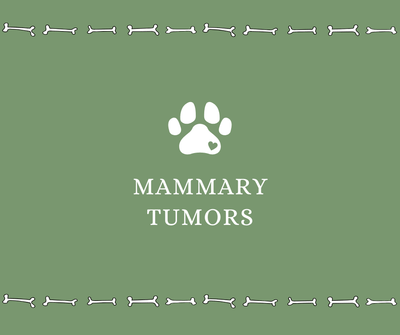 Mammary Tumors - Drake Dog Cancer Foundation