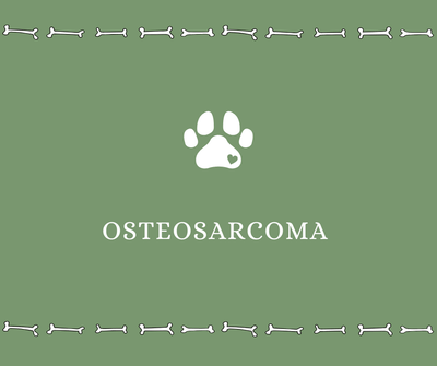 Osteosarcoma - Drake Dog Cancer Foundation