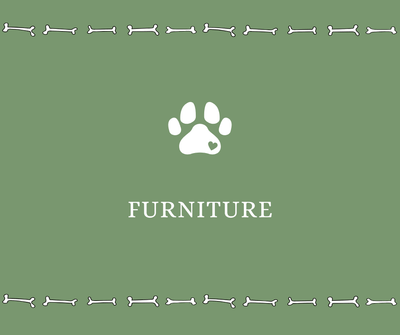 Furniture - Drake Dog Cancer Foundation