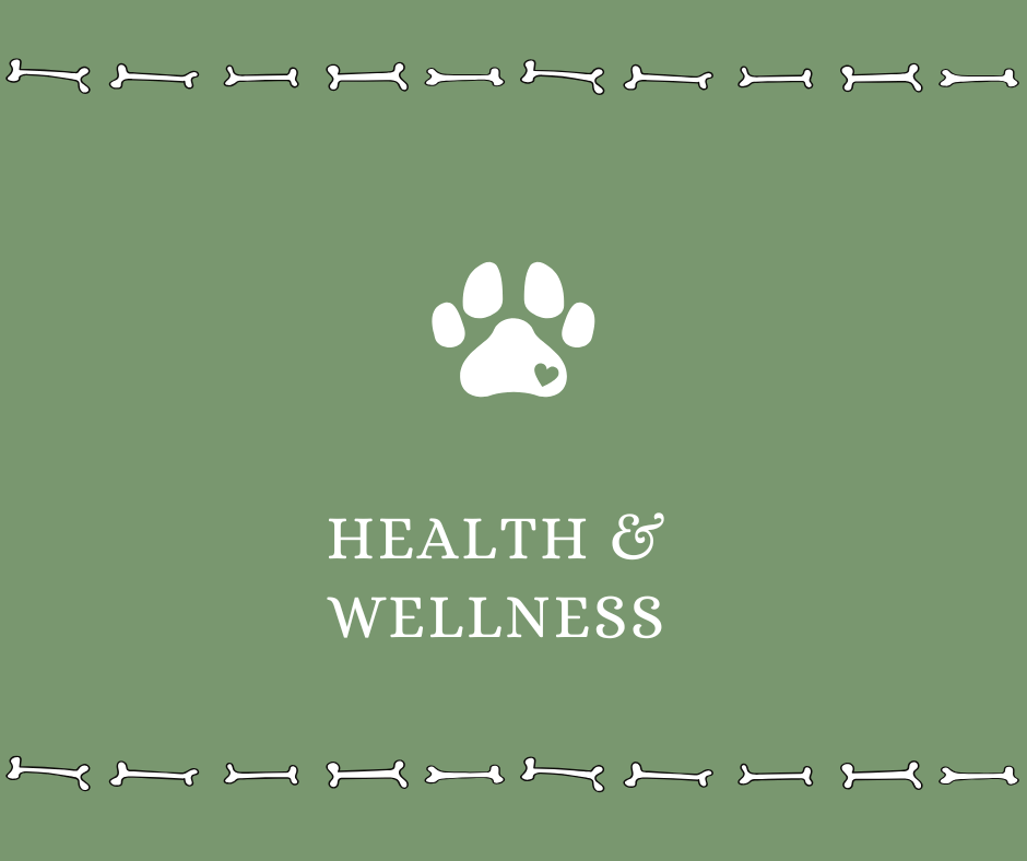 Dog Health and Wellness - Drake Dog Cancer Foundation
