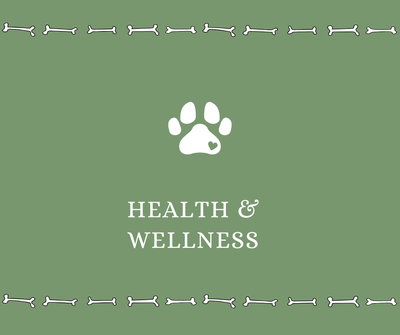 Dog Health and Wellness - Drake Dog Cancer Foundation