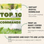 Comprehensive Step - by - Step Dog Training Guide: 10 Essential Commands PDF for Obedient Canines - Drake Dog Cancer Foundation