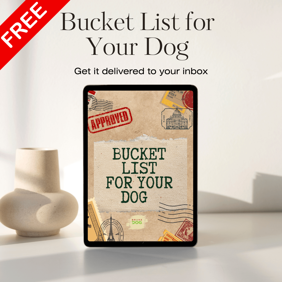 Bucket List for Your Dog - Drake Dog Cancer Foundation
