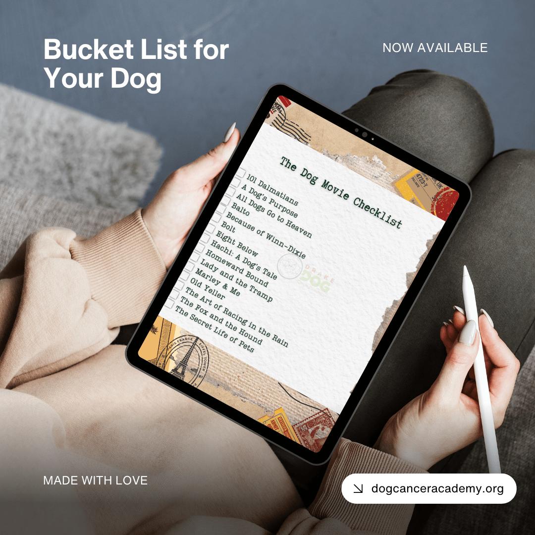 Bucket List for Your Dog - Drake Dog Cancer Foundation