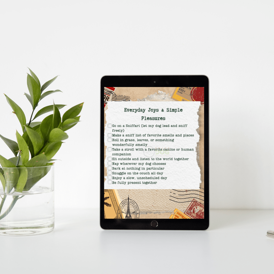 Bucket List for Your Dog - Drake Dog Cancer Foundation