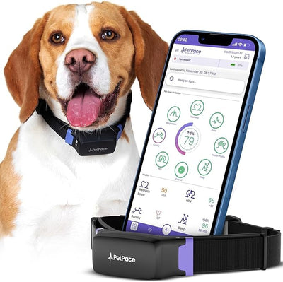 PetPace V3.0 Smart Health Collar - Drake Dog Cancer Foundation