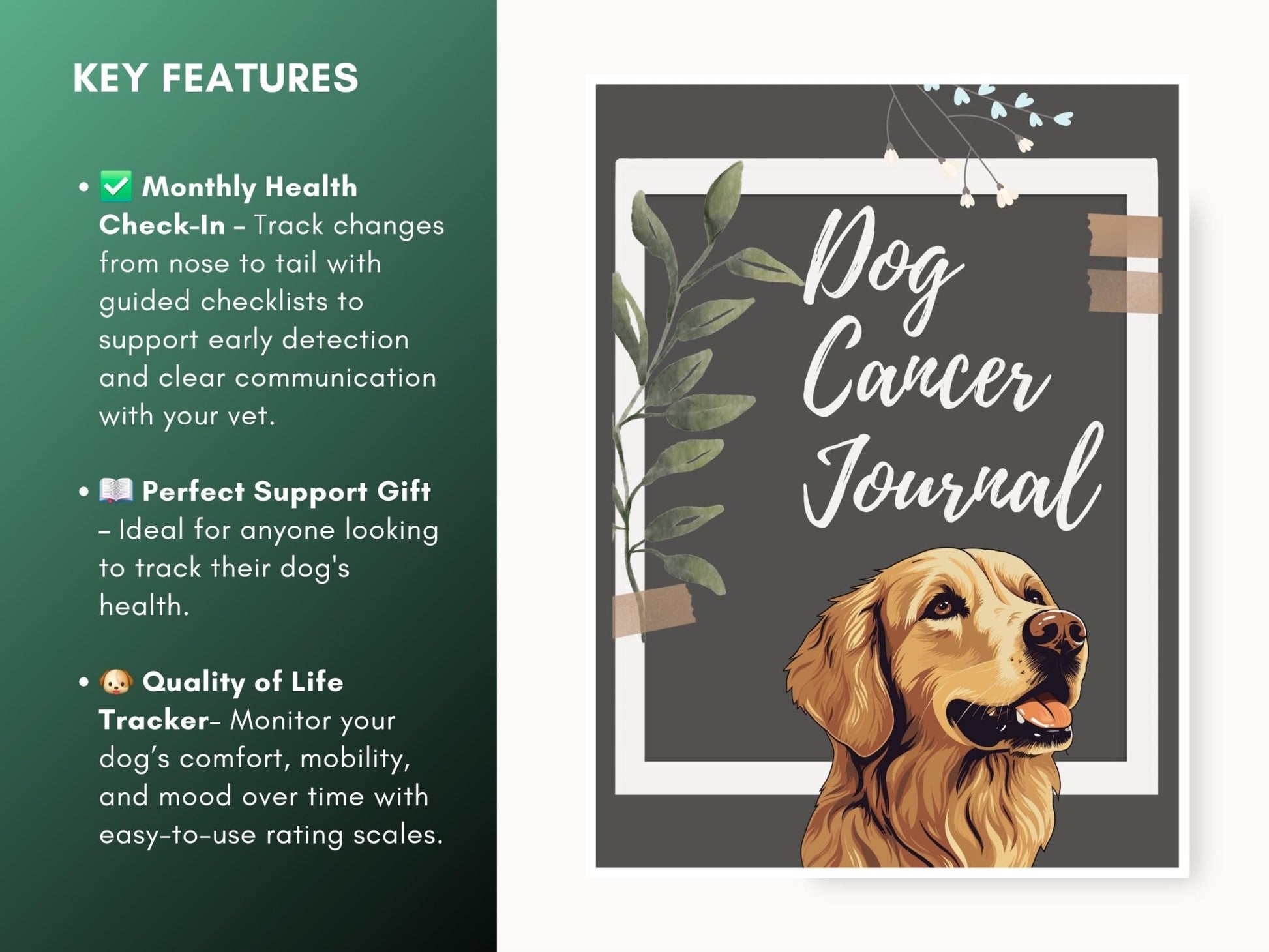 Dog Cancer Journal: Pet Wellness Tracker (Printable PDF) - Drake Dog Cancer Foundation
