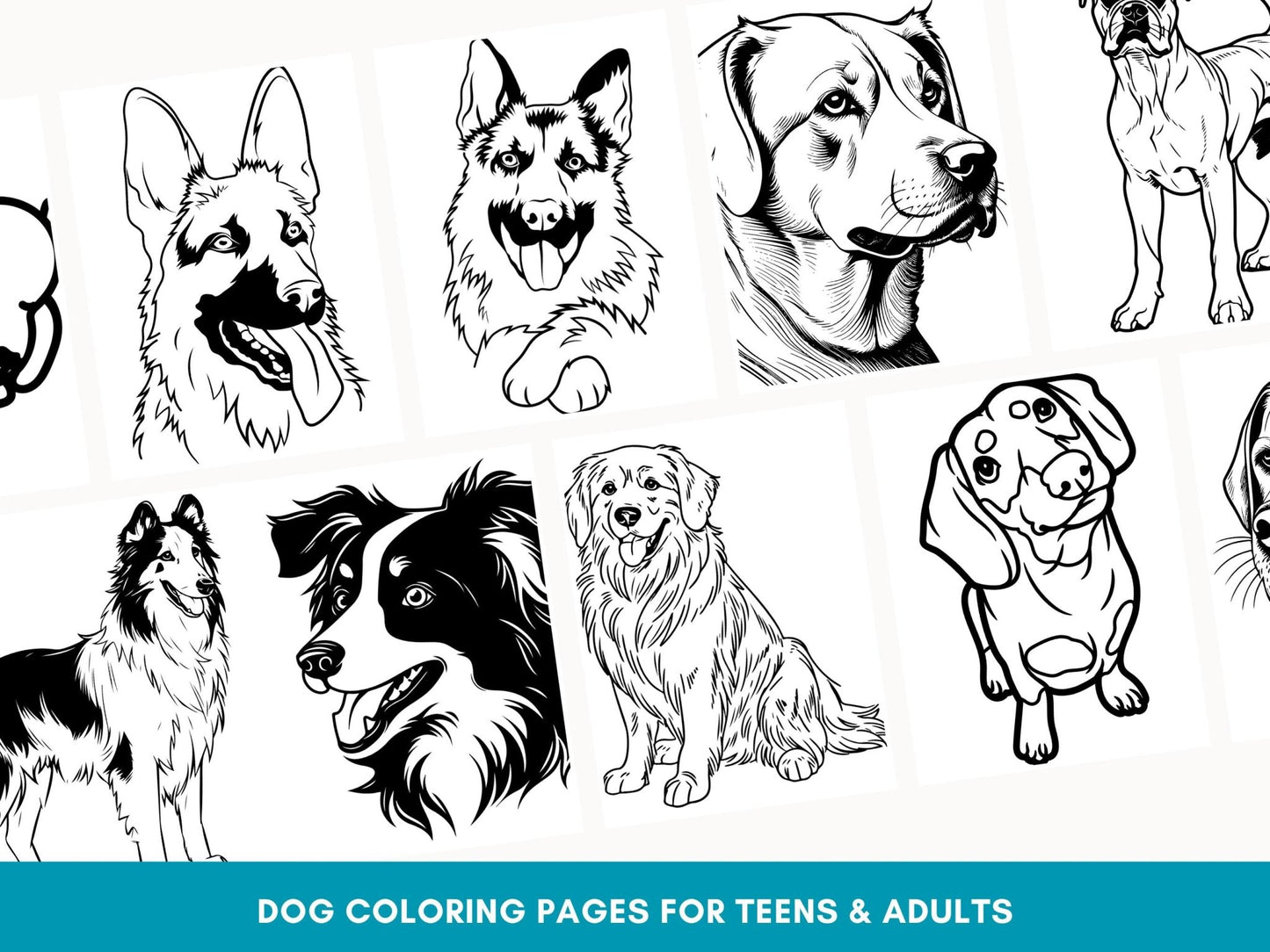 Printable Dog Coloring Book for Adults & Teens: Stress Relief with Bonus Line Art PDF - Drake Dog Cancer Foundation