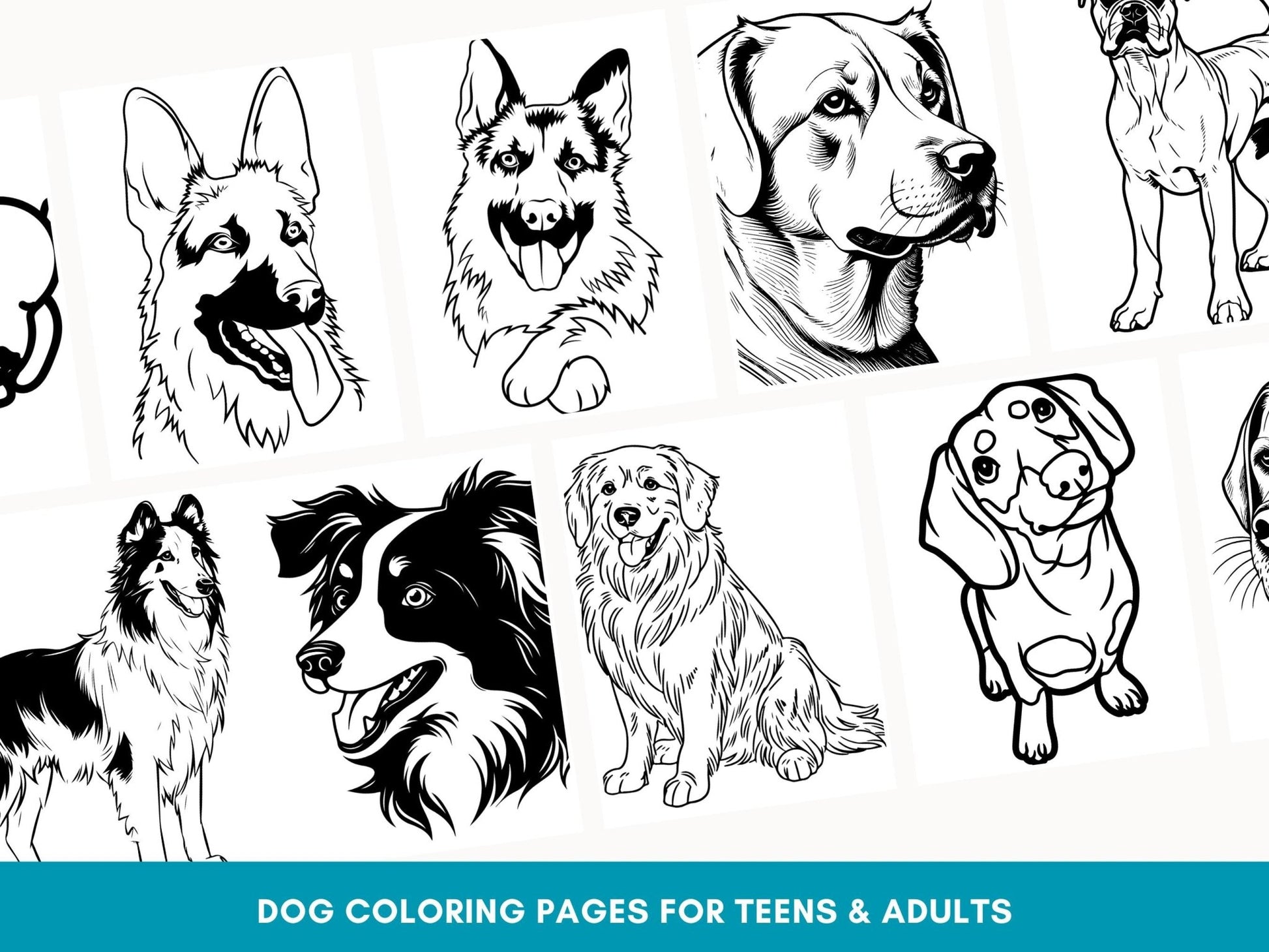 Printable Dog Coloring Book for Adults & Teens: Stress Relief with Bonus Line Art PDF - Drake Dog Cancer Foundation