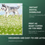 Customizable Dog Bookmarks: 40+ Printable Designs (Canva Editable) - Drake Dog Cancer Foundation
