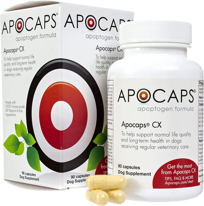 Apocaps CX for Dog Cancer
