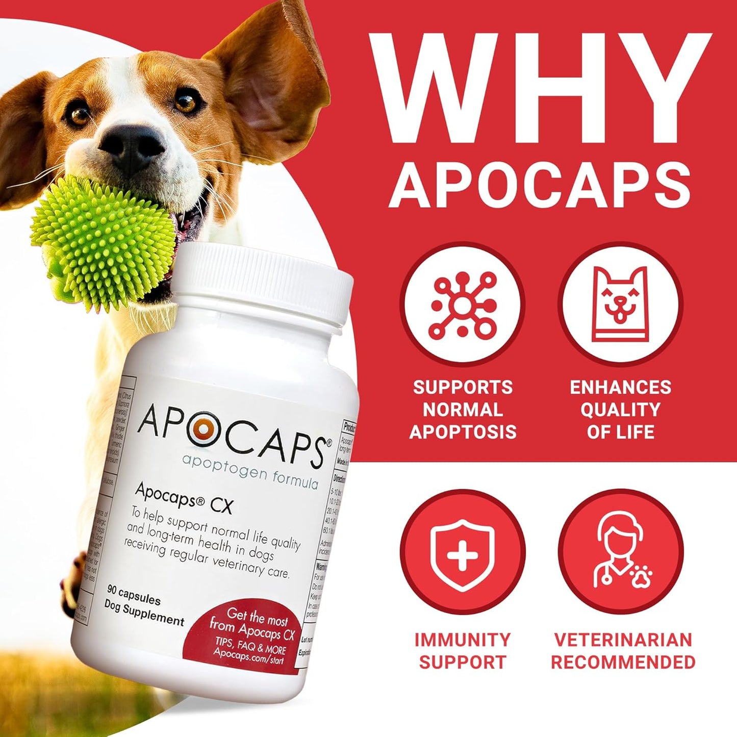 Apocaps CX for Dog Cancer