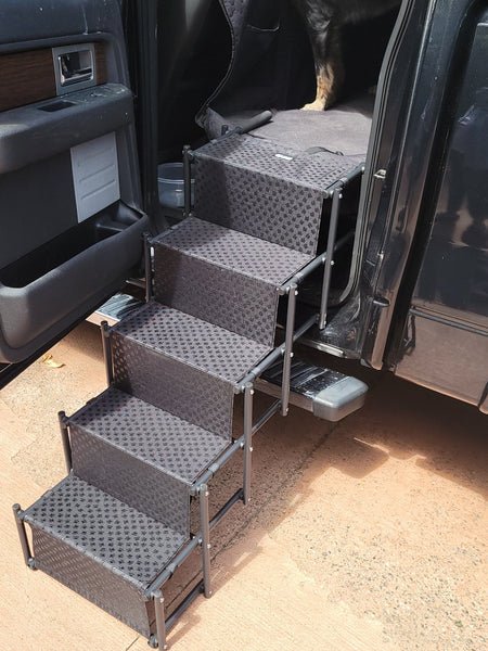 Big Ass Steps - Drake Dog Cancer Foundation