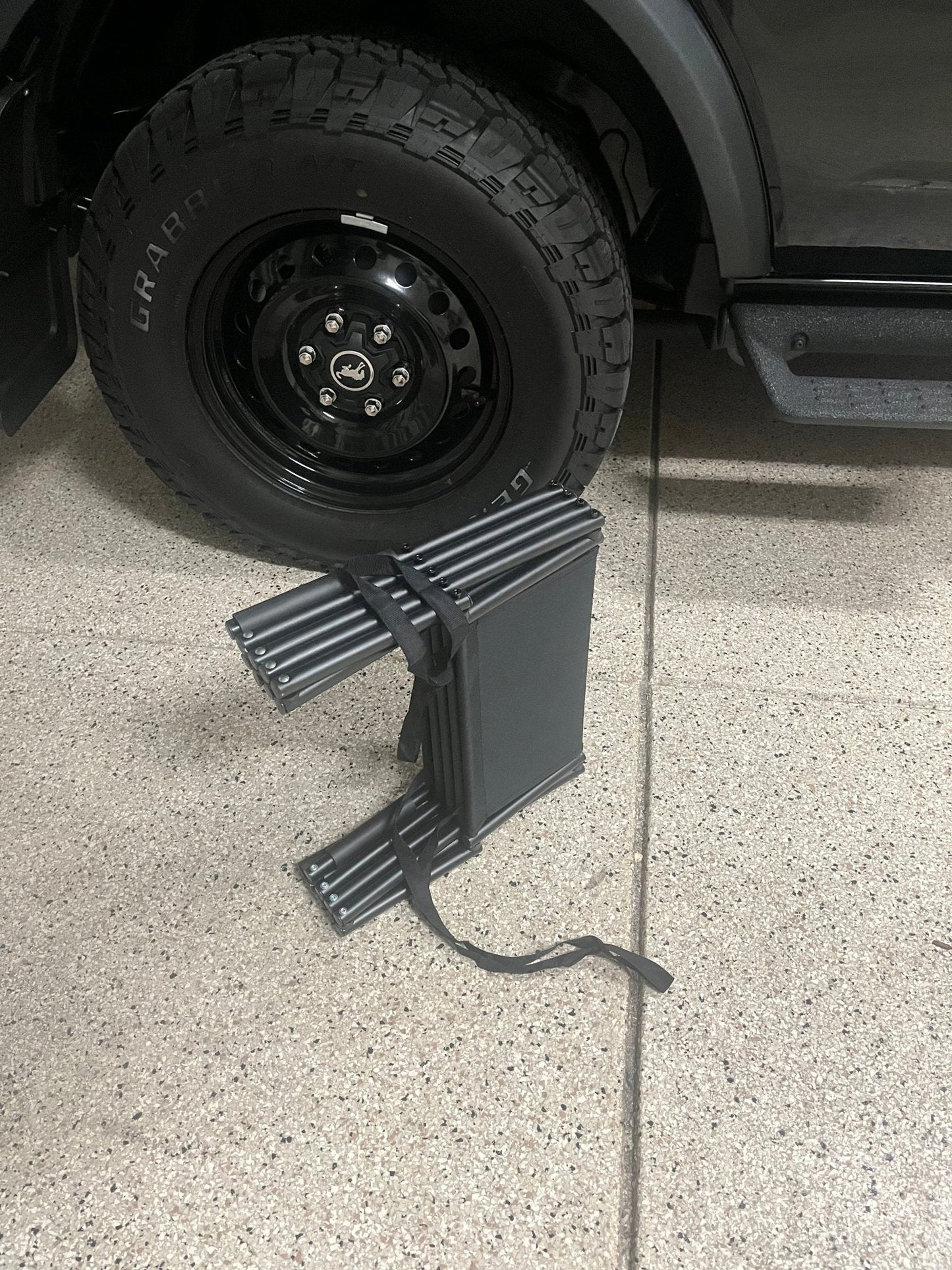 Big Ass Steps - Drake Dog Cancer Foundation