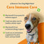 Core Immune Care for Immune Boost - Drake Dog Cancer Foundation