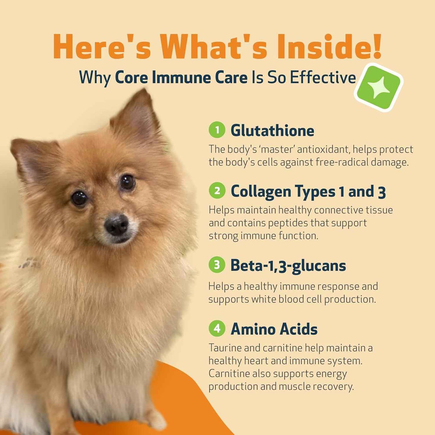 Core Immune Care for Immune Boost - Drake Dog Cancer Foundation