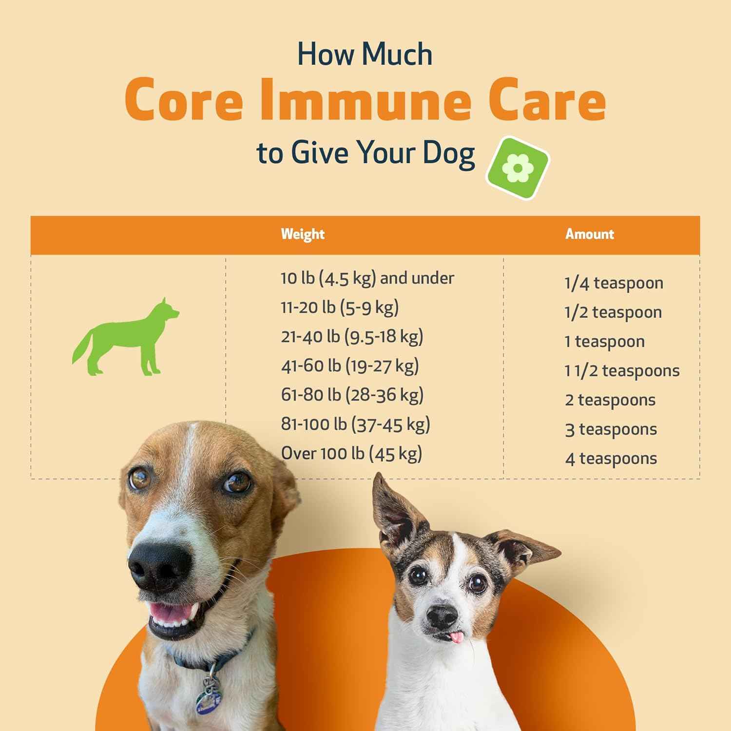 Core Immune Care for Immune Boost - Drake Dog Cancer Foundation
