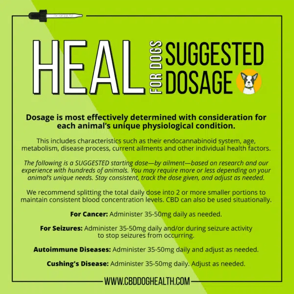 HEAL Full - Spectrum Hemp Extract - Drake Dog Cancer Foundation