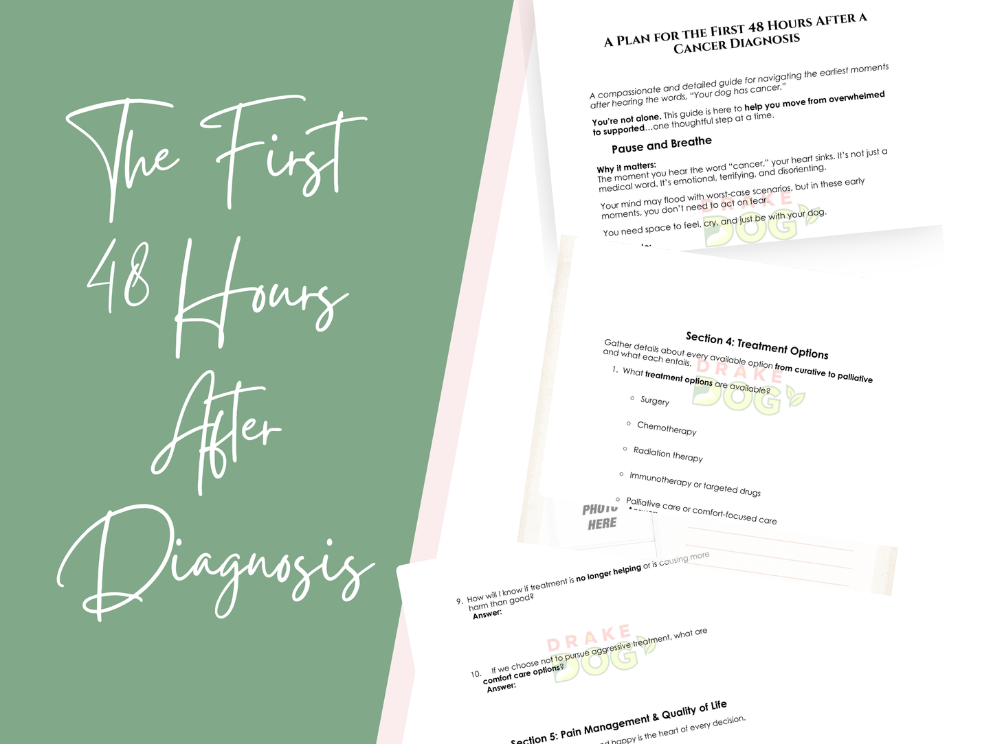 Dog Cancer Diagnosis Survival Kit: 6 Guides & Templates for the First 48 Hours