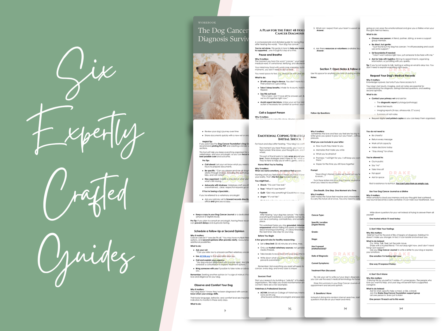 Dog Cancer Diagnosis Survival Kit: 6 Guides & Templates for the First 48 Hours