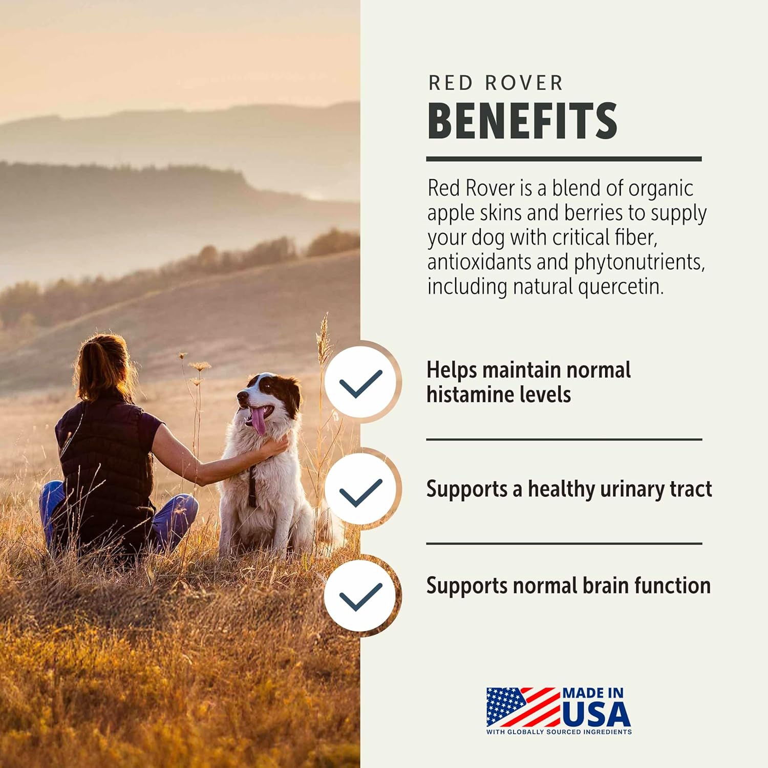 Red Rover to Help Dogs with Mast Cell Tumors: Reduce Histamines Naturally - Drake Dog Cancer Foundation