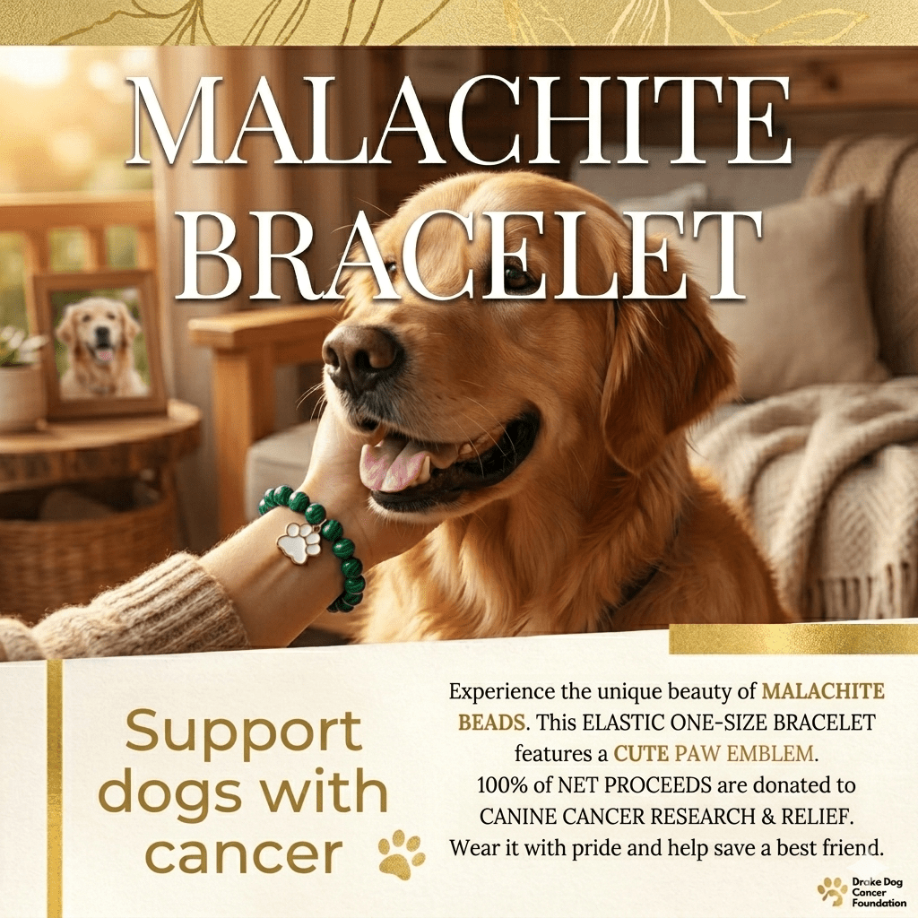 Malachite Paw Charm Bracelet: Proceeds Help Keep the Dog Cancer Foundation Thriving - Drake Dog Cancer Foundation