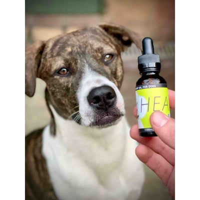 HEAL Full - Spectrum Hemp Extract - Drake Dog Cancer Foundation