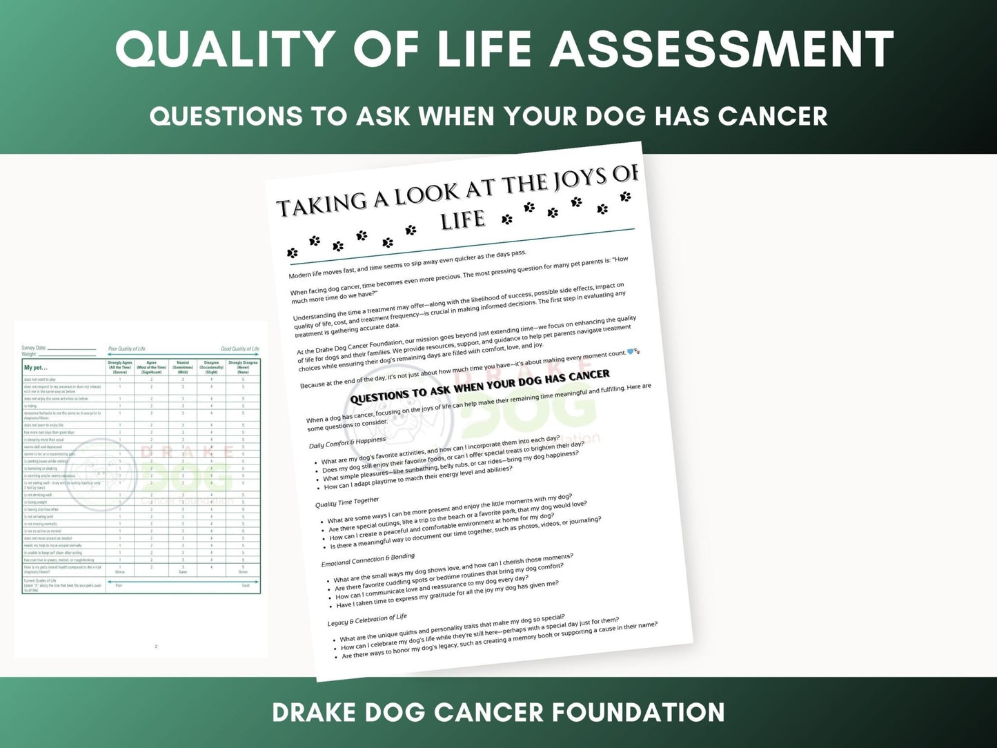 Dog Quality of Life Assessment | Printable Pet Health Tracker - Drake Dog Cancer Foundation