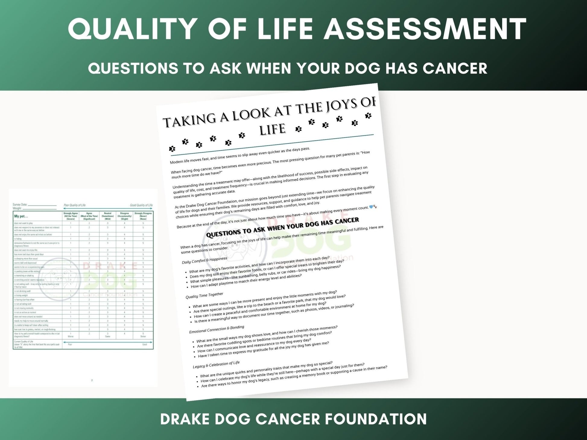 Dog Quality of Life Assessment | Printable Pet Health Tracker - Drake Dog Cancer Foundation