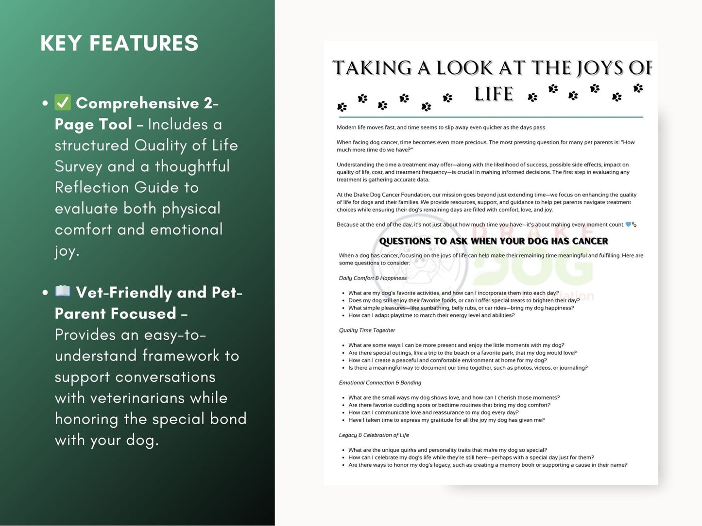 Dog Quality of Life Assessment | Printable Pet Health Tracker - Drake Dog Cancer Foundation