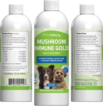Mushroom Immune Gold for Dog Cancer