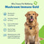 Mushroom Immune Gold for Dog Cancer