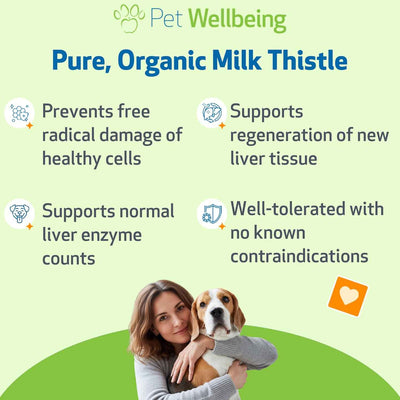 Milk Thistle for Detox Support - Drake Dog Cancer Foundation