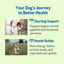 Milk Thistle for Detox Support - Drake Dog Cancer Foundation