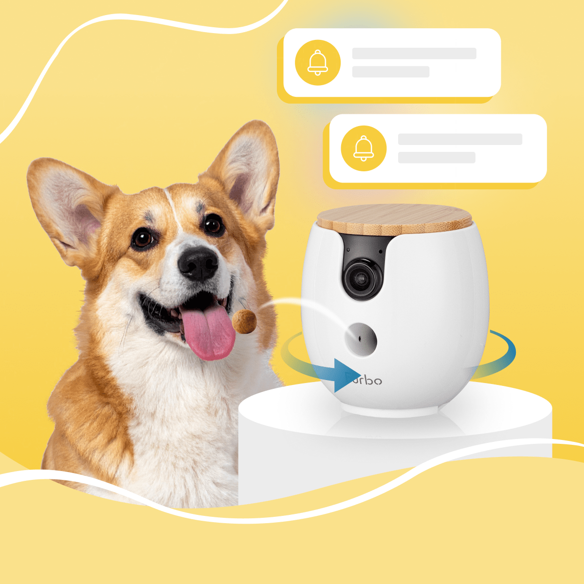 Furbo Mini 360 - Drake Dog Cancer Foundation