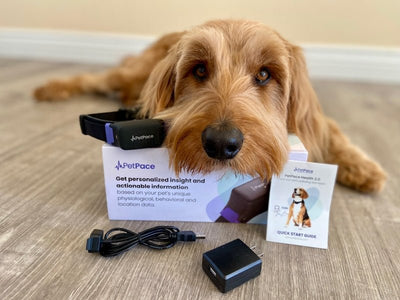PetPace V3.0 Smart Health Collar - Drake Dog Cancer Foundation
