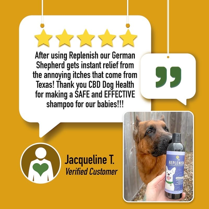 Replenish Dog Shampoo for Skin Health - Drake Dog Cancer Foundation