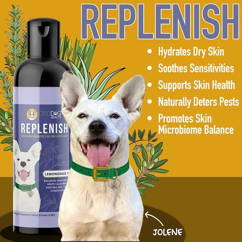 Replenish Dog Shampoo for Skin Health - Drake Dog Cancer Foundation
