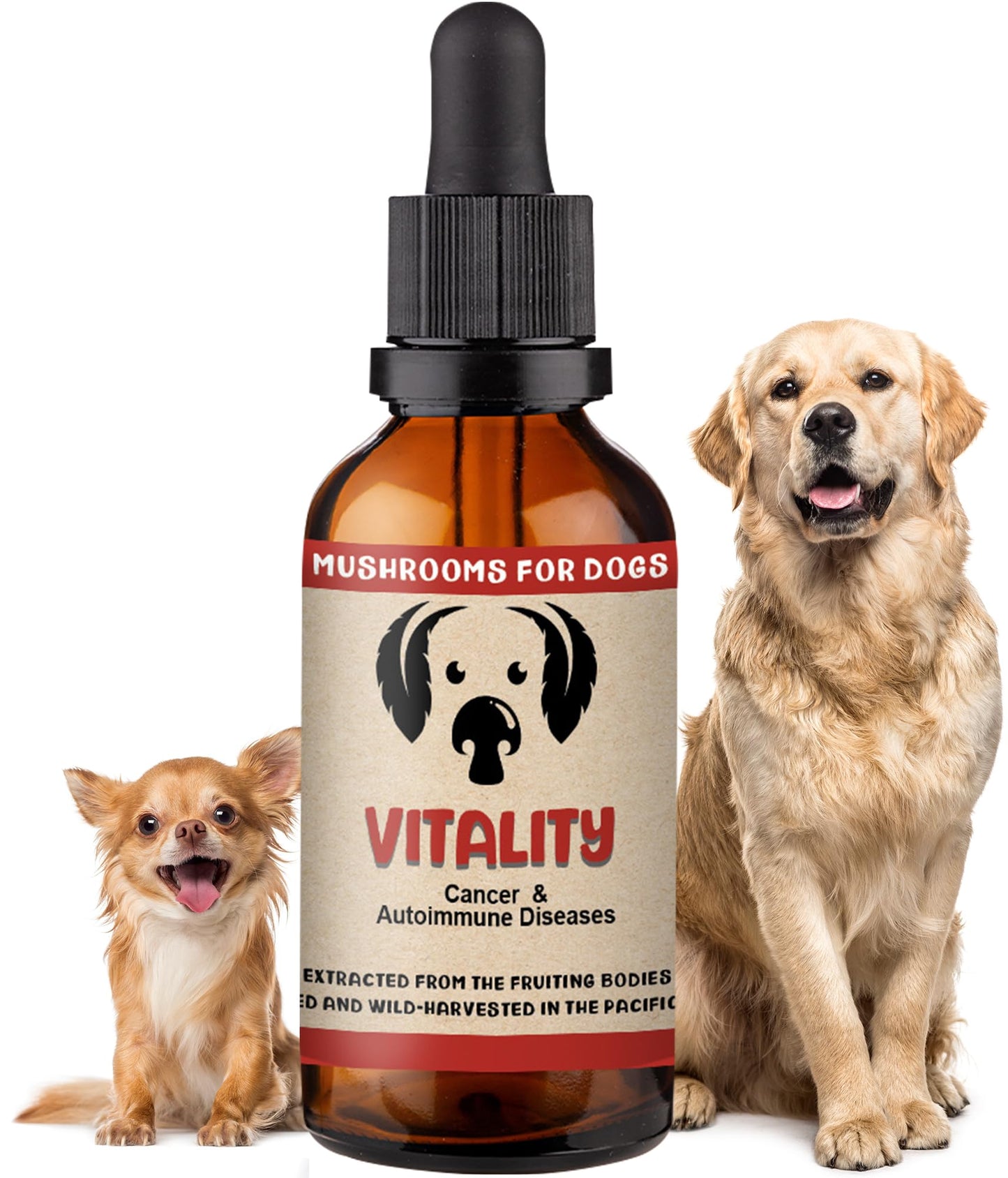 Vitality by Mycodog - Drake Dog Cancer Foundation