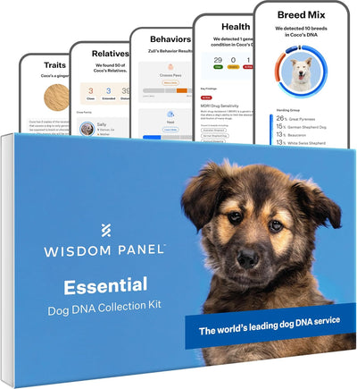 Wisdom Health Essential Dog DNA Kit