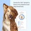 Wisdom Health Essential Dog DNA Kit