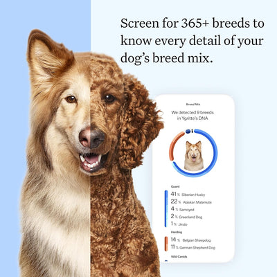 Wisdom Health Essential Dog DNA Kit