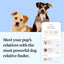 Wisdom Health Essential Dog DNA Kit